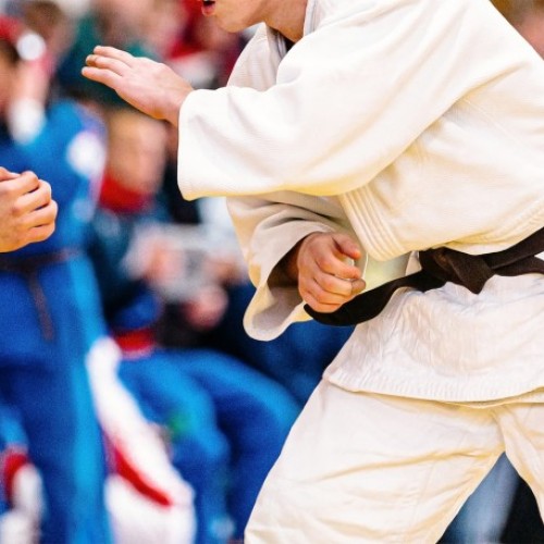 Un nouveau dojo au Ray