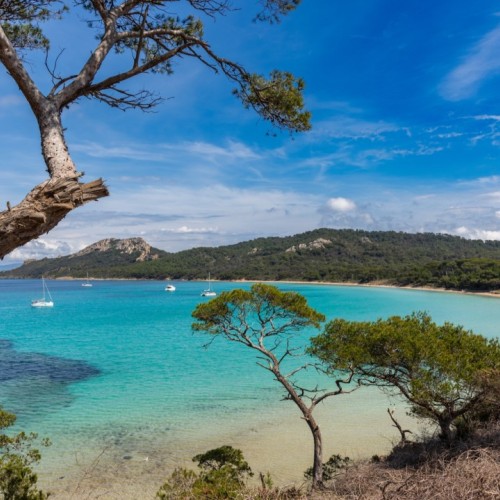 Votez pour votre plage préférée ! 🏝️