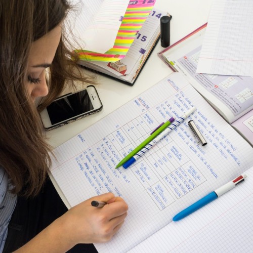 Bordeaux : la plateforme gratuite d'aide aux devoirs reprend du service