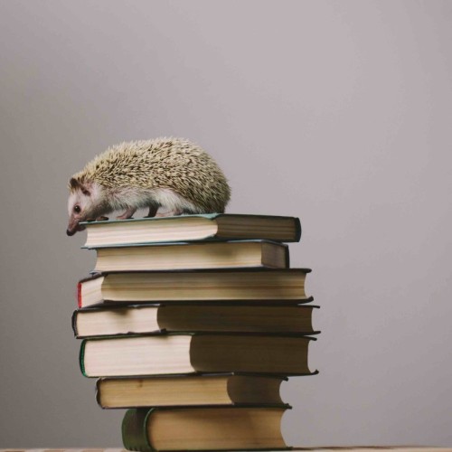 Périgueux : un salon du livre animalier et de la biodiversité