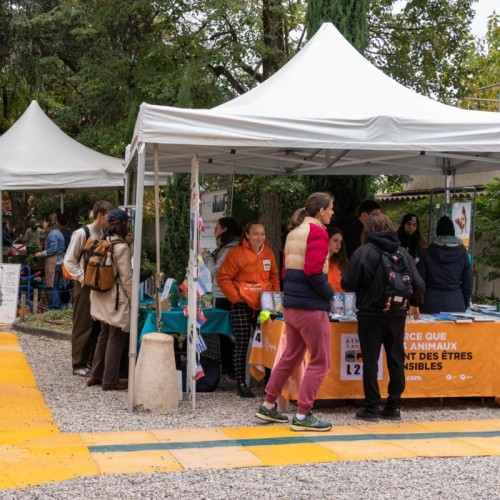Lyon : 10 ans de solutions locales au Greener Festival