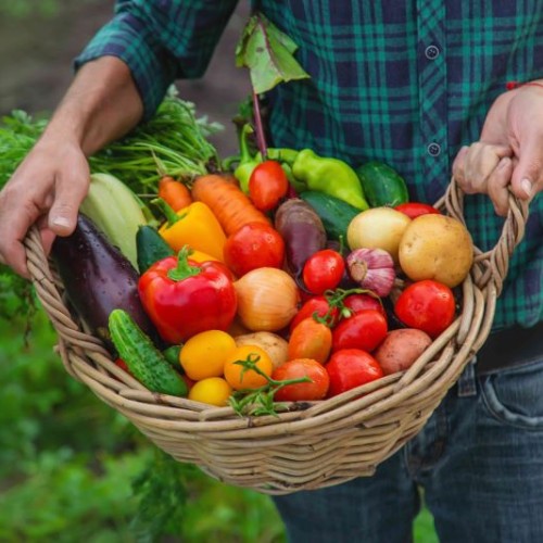 Nantes expérimente la caisse commune de l'alimentation