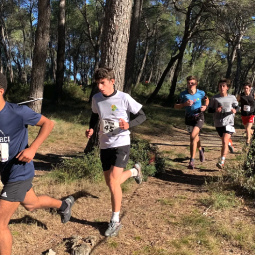 L'agenda sportif en métropole des samedi 27 et dimanche 28 septembre