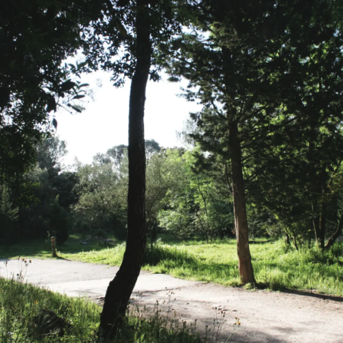 Un chantier festif pour la nature au Bois de Montmaur