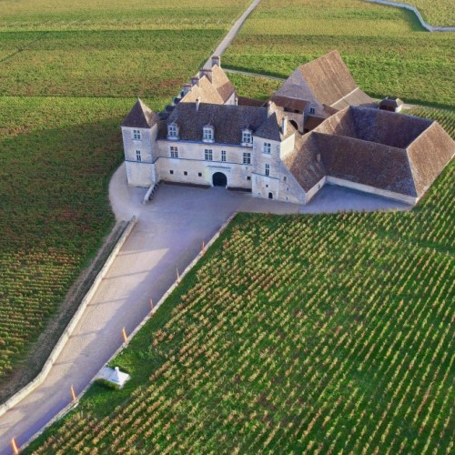 Livres en Vignes 2025 : un cru qui promet 😋