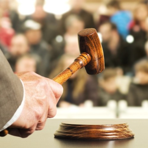 Adjugé, vendu ! 👩🏻‍⚖️