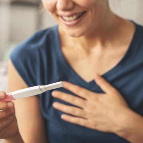 Les dessous de la fertilité à Strasbourg