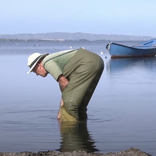 Matabbià : de Marsala à Marseille en passant par Tunis 🌍