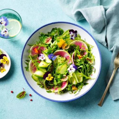Régalez-vous autrement avec la cuisine végétale 🍽️