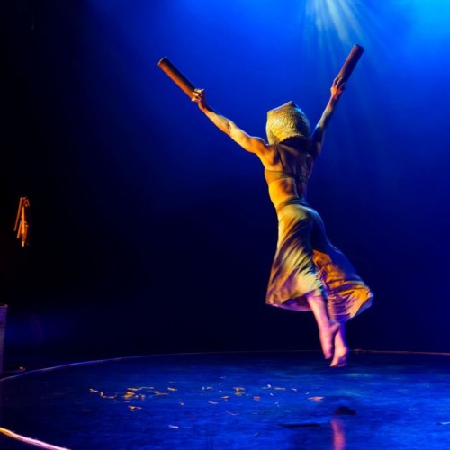 « Faire la part belle aux cirques d’aujourd’hui » 🎪