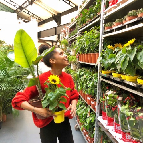 Plantes pour tous revient à Marseille