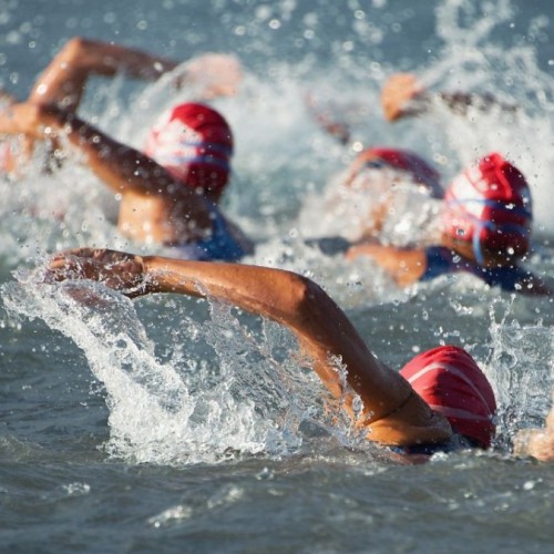 L'agenda sportif autour de Grenoble, le week-end du 20 septembre 2025
