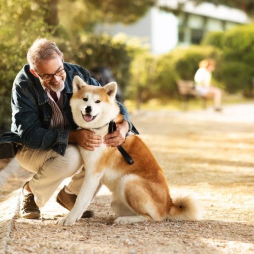 Le saviez-vous ? Grenoble est la ville française la plus engagée en faveur des animaux 🐶
