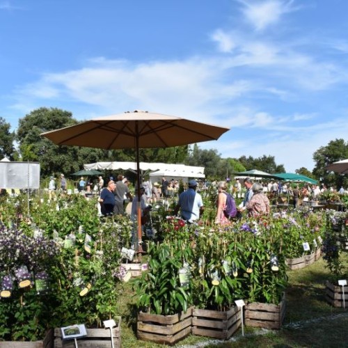 Le Grand Blottereau, écrin de la Folie des Plantes à Nantes