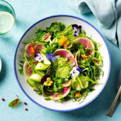 Régalez-vous autrement avec la cuisine végétale 🍽️