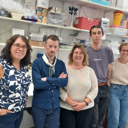 La recherche s’engage contre les virus transmis par les insectes 🦟