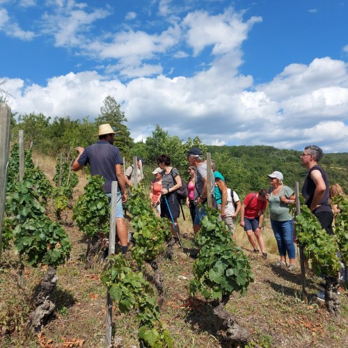 Vignobles en Scène à Clermont-Ferrand