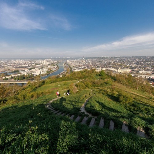 À la découverte des migrations d'oiseaux à Rouen