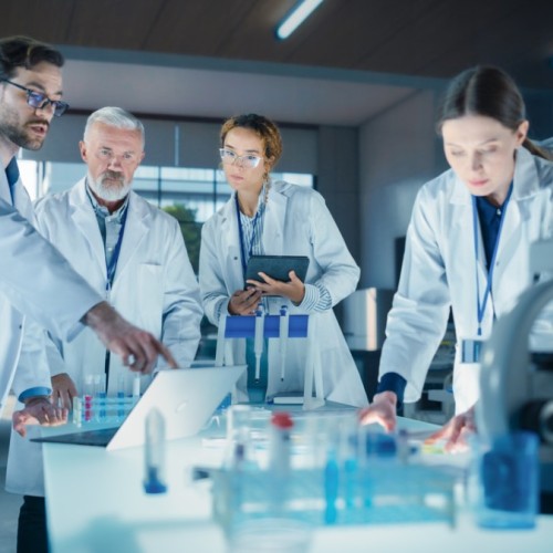 Ateliers, conférences, cinéma… L'Université de Toulouse fête la science