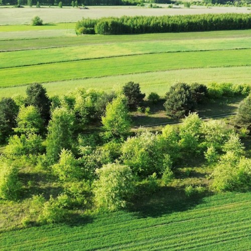 Bretagne : vous pouvez financer la protection de la biodiversité