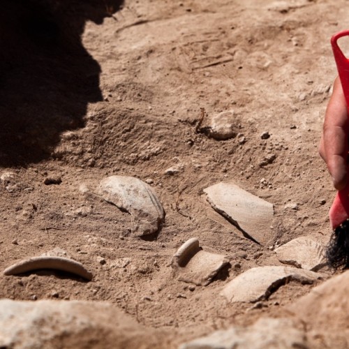 Des objets archéologiques de Toulon exposés au public