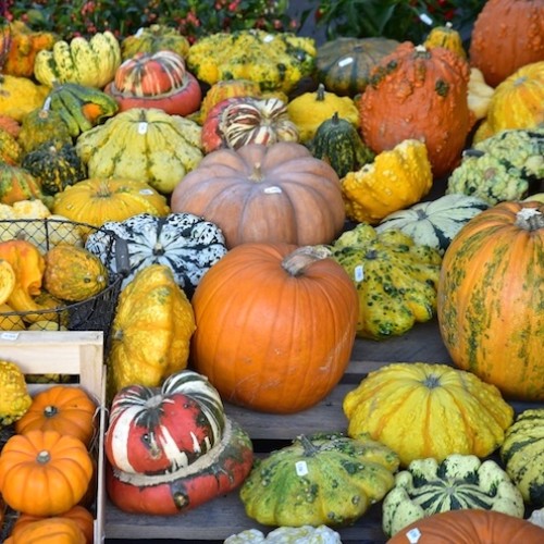 Vos sorties en métropole de ces samedi 11 et dimanche 12 octobre
