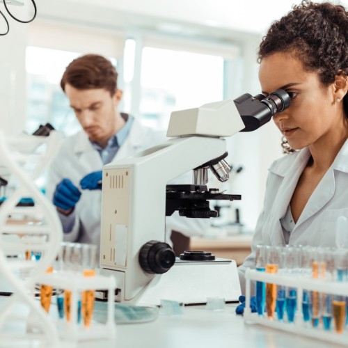 Une semaine autour de la science près de Bordeaux