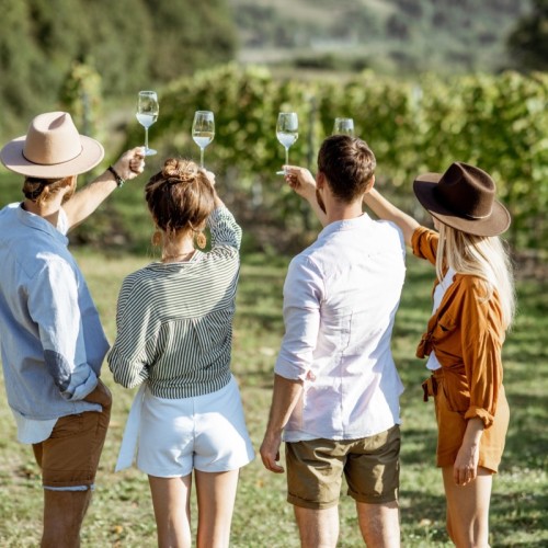 Découvrir autrement les vignobles 