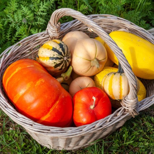 Les rendez-vous du week-end du 11 et 12 octobre à Rouen
