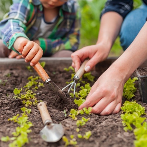 Tout savoir du jardinage à la Cité des sciences et de l'industrie