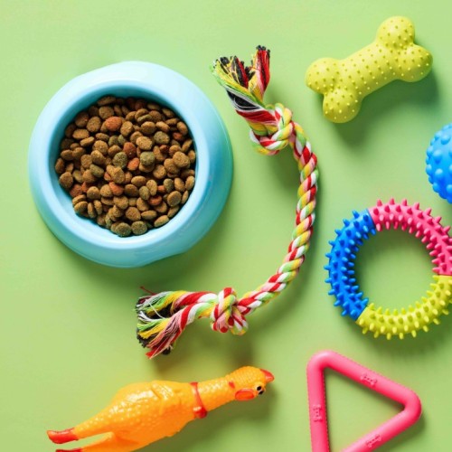 My pet corner, la plateforme de seconde main pour les animaux de compagnie