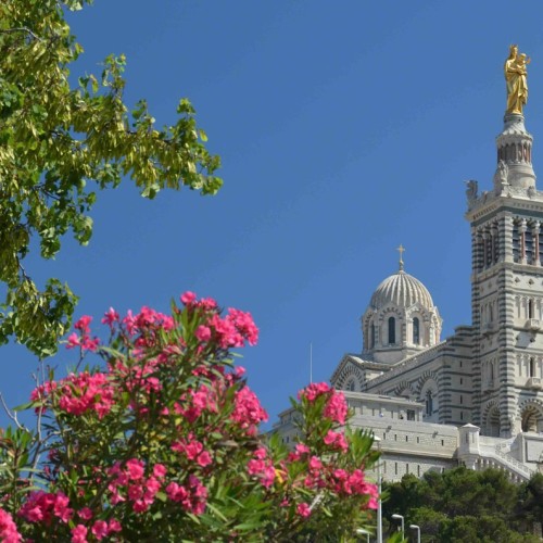Le label Département Fleuri s'épanouit à Marseille