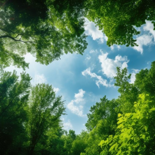 Une conférence sur la qualité de l'air à La Trinité