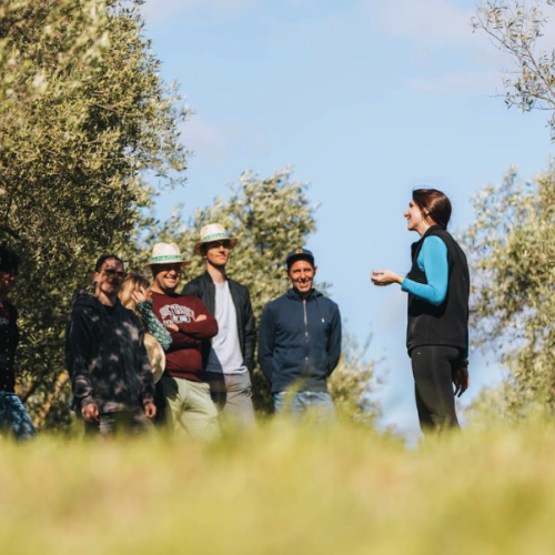 Une originale visite au Domaine de l'Oulivie