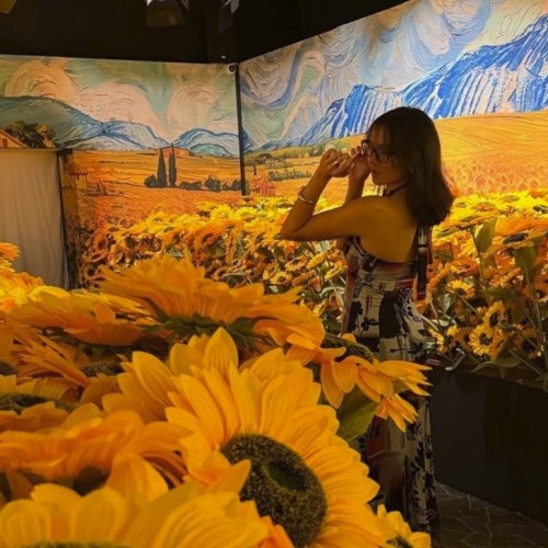 Se plonger dans les œuvres de Van Gogh