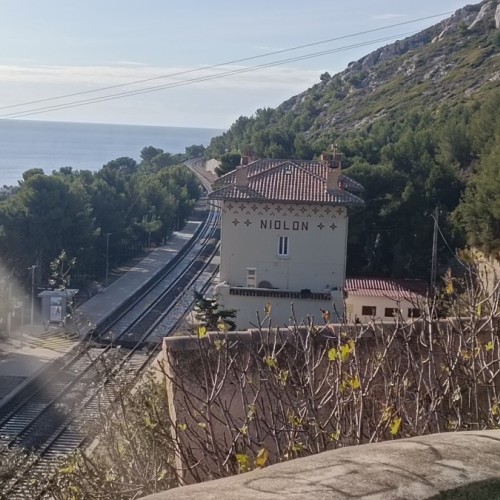 L'association marseillaise T'Cap 21 fête ses 10 ans