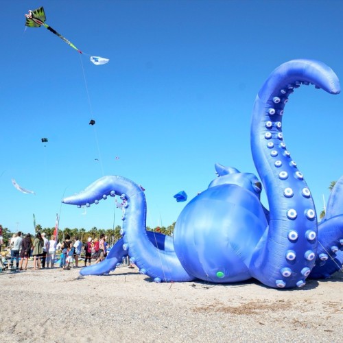 Vive le vent revient à Six-Fours-les-Plages 🪁