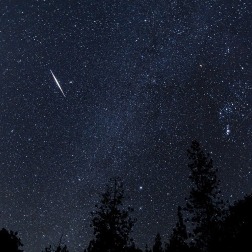 Les Orionides illuminent le ciel cette nuit