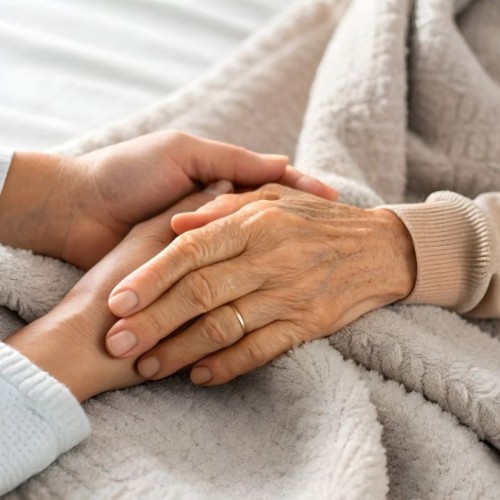 Le réseau Alma Isère fête son anniversaire