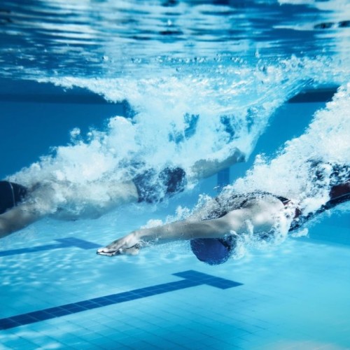 L'agenda sportif des 11 et 12 octobre à Grenoble