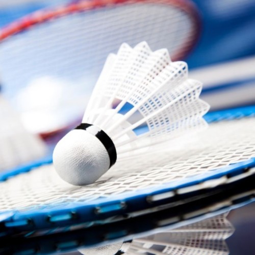 L'agenda sportif grenoblois du week-end du 18 et 19 octobre 2025