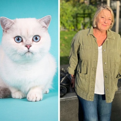 Nathalie Tiennot, la photographe qui capture les émotions des animaux avec son MuZographe