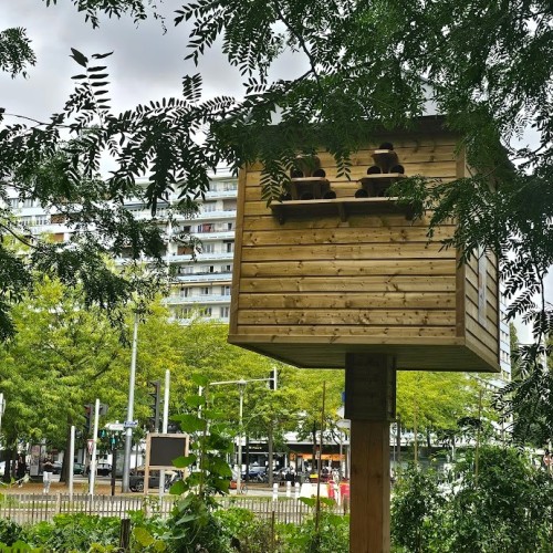 Les pigeons sur la sellette 