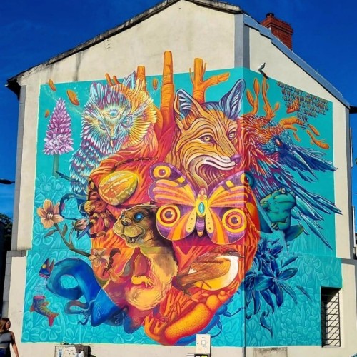 Nostrà Natura : La biodiversité auvergnate s’expose en grand format à Clermont-Ferrand