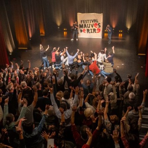 Mauves de rire, un festival dédié au stand up près de Nantes
