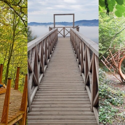 À la découverte de la Forêt des Expériences à 50 minutes de Lyon