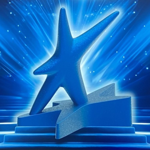 Des trophées qui valorisent les pépites du territoire ⭐️