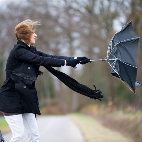 La tempête Benjamin attendue ce jeudi à Lille