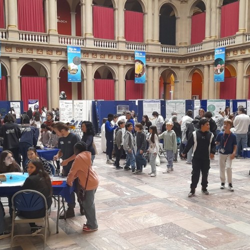 Un village des sciences au Palais universitaire