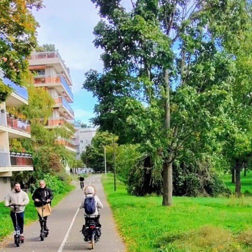 Un crash-test en trottinette électrique 🛴